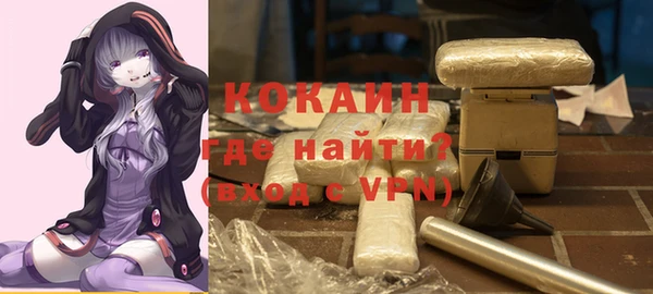 дживик Абаза