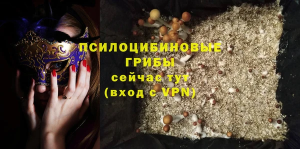 стаф Абинск