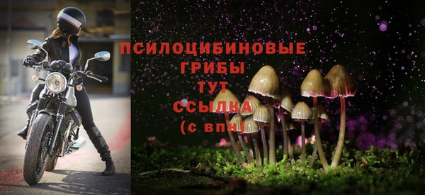 дживик Абаза