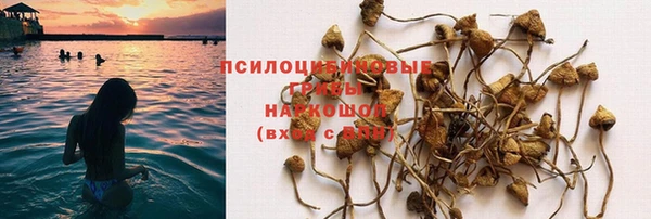 стаф Абинск