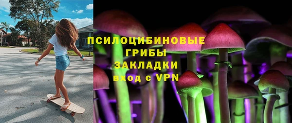 дживик Абаза