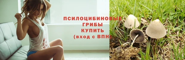 дживик Абаза